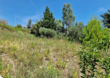 Terreno edificabile VIA VALLE ROSA, Montesilvano - foto 8