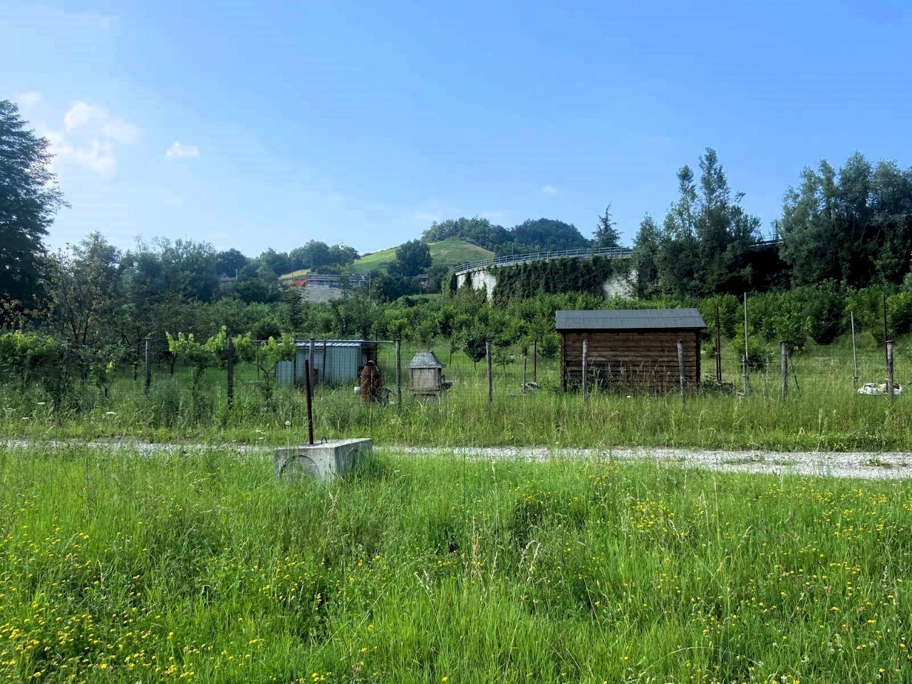 Independent house Casina - photo 2