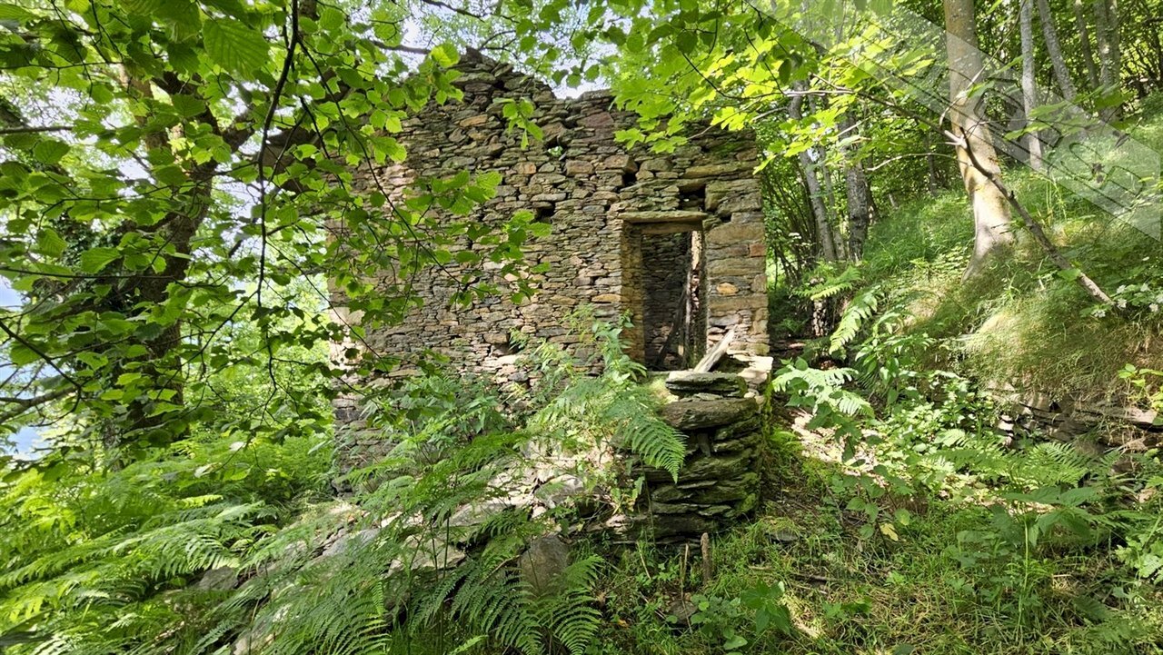 Rustic Via Della Buffa snc, Pramollo - photo 1