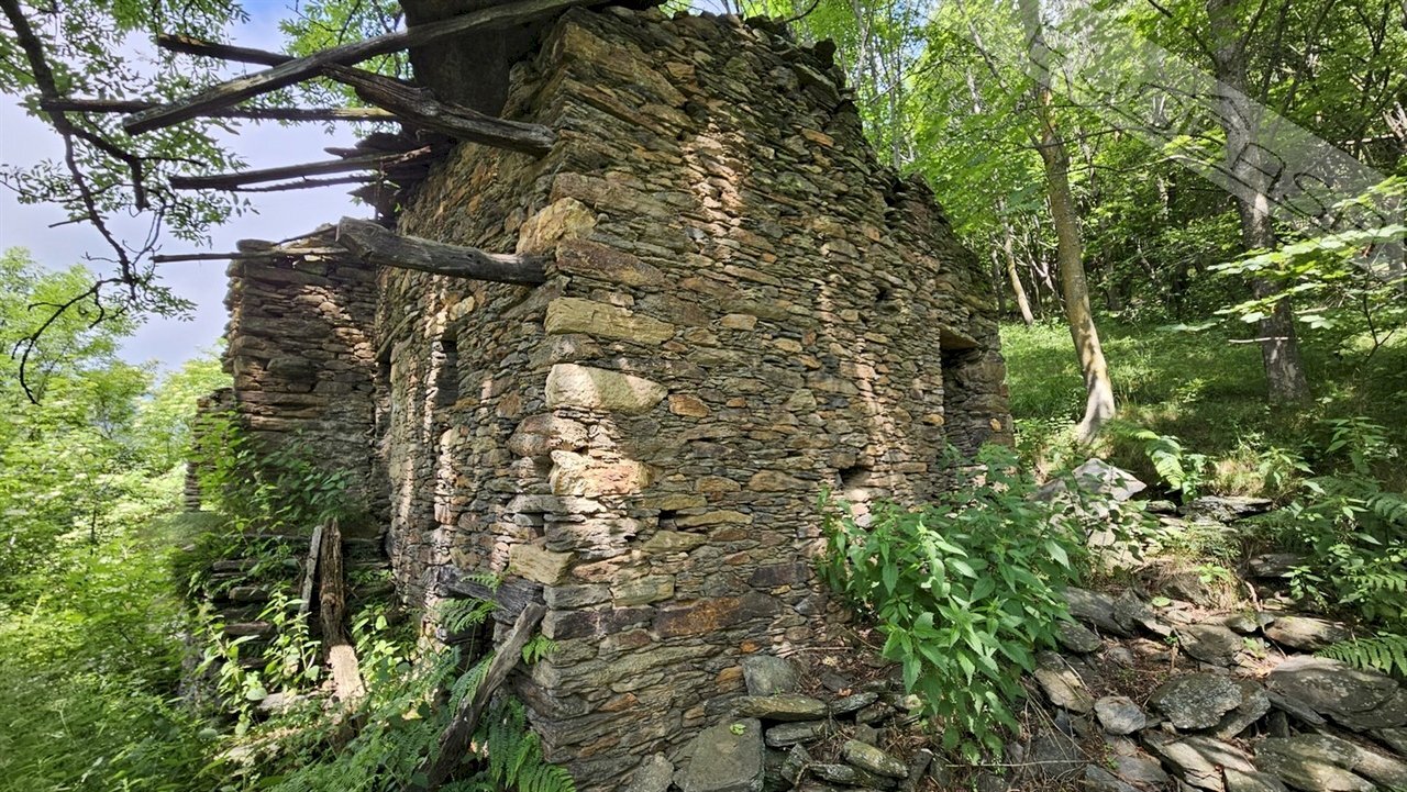 Rustic Via Della Buffa snc, Pramollo - photo 3