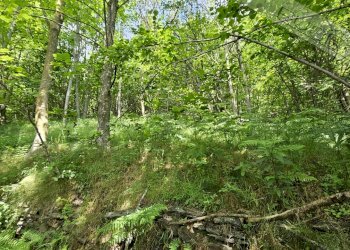 Rustico Via Della Buffa snc, Pramollo - foto 2