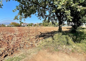 Terreno edificabile Via Stazione, Castrocielo - foto 5