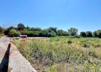 Terreno edificabile Via Guardiola, Colfelice - foto 5