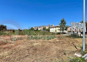 Terreno edificabile Via Guardiola, Colfelice - foto 9