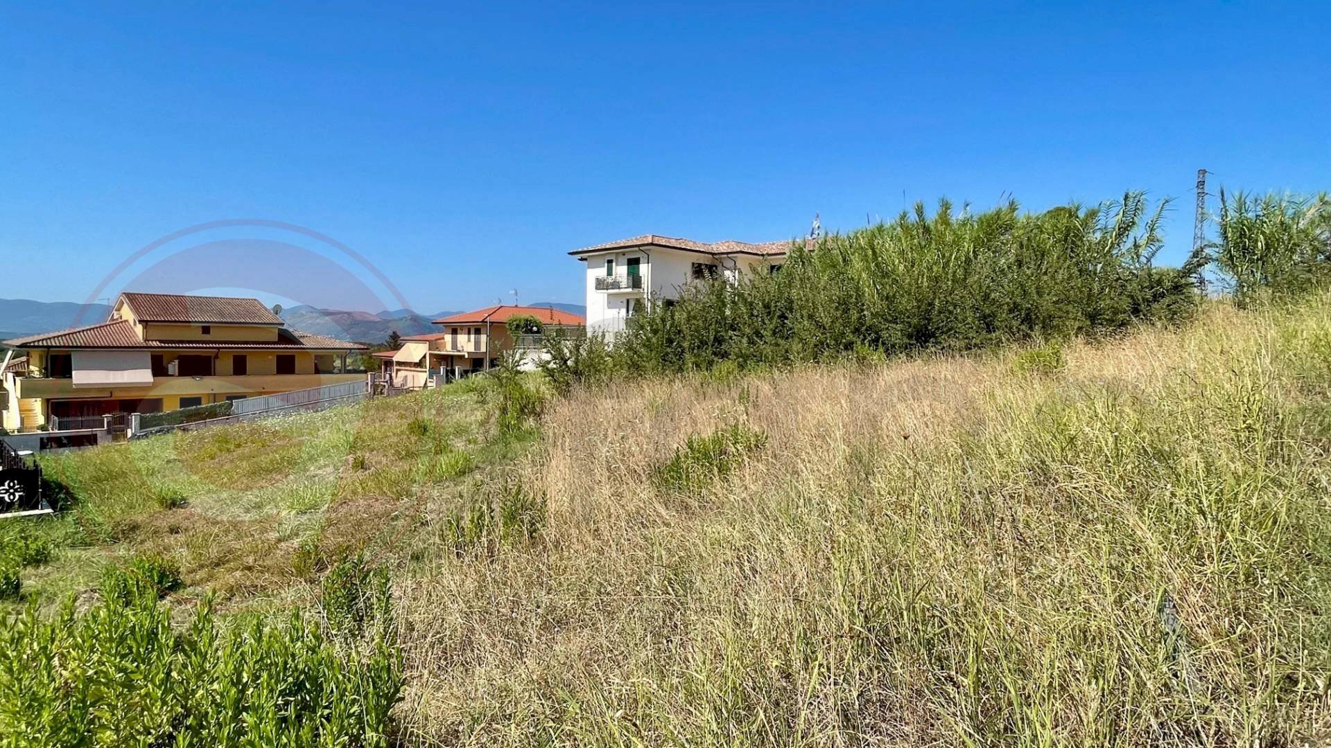 Terreno agricolo Via Bernardo Belli, Colfelice - foto 2