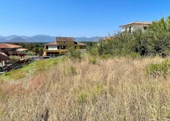 Terreno agricolo Via Bernardo Belli, Colfelice - foto 3