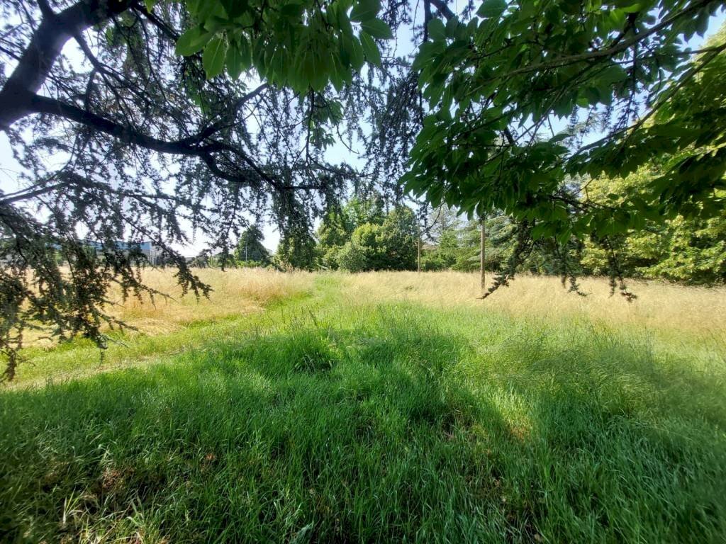 Terreno - Rustico via Provinciale Inferiore, Molinella - foto 3