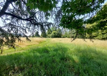 Terreno - Rustico via Provinciale Inferiore, Molinella - foto 3