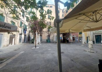 Vista - Negozio piazza Lavagna, Genova (zona Centro Storico) - foto 11