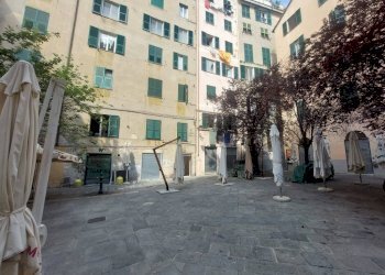 Vista - Negozio piazza Lavagna, Genova (zona Centro Storico) - foto 15
