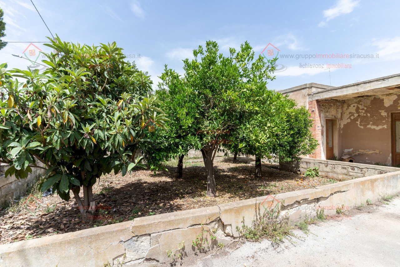 RIC08723.jpg - Casa indipendente Siracusa - foto 3