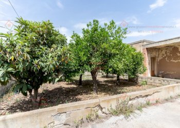 RIC08723.jpg - Casa indipendente Siracusa - foto 3