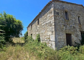 tenuta orvieto  (17).jpg - Casale Strada provinciale 92 snc, Baschi - photo 5