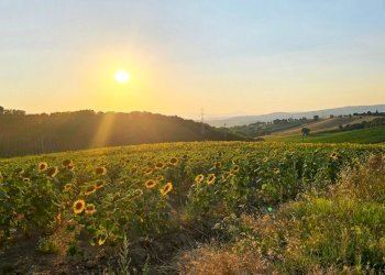 tenuta orvieto  (1).jpg - Casale Strada provinciale 92 snc, Baschi - photo 18