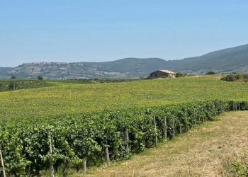 tenuta orvieto  (5).jpg - Casale Strada provinciale 92 snc, Baschi - photo 19