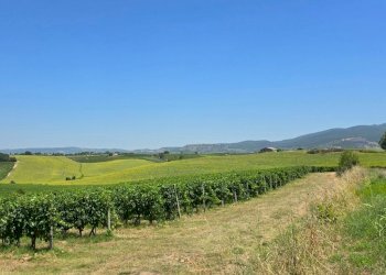 tenuta orvieto  (6).jpg - Casale Strada provinciale 92 snc, Baschi - photo 20