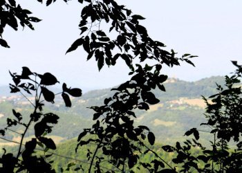 Villa Unifamiliare Casina - foto 41