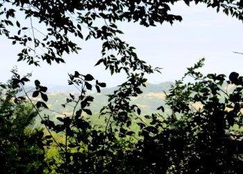 Villa Unifamiliare Casina - foto 42