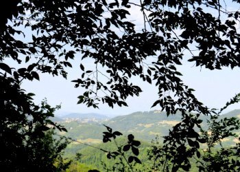 Villa Unifamiliare Casina - foto 43