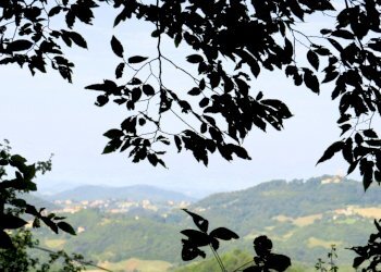 Villa Unifamiliare Casina - foto 44