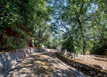 Hotel - Accommodation facility Via Colle Polmone, Campoli Appennino - photo 10