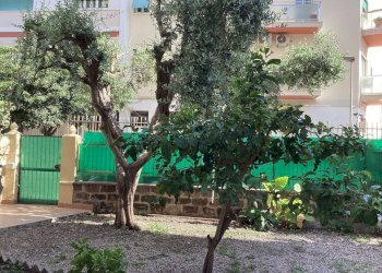 Trilocale Piazzale Della Posta, Roma - foto 3