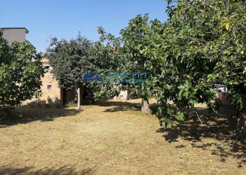 Rustico via Matteotti, Nereto - foto 5