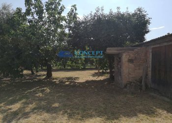 Rustico via Matteotti, Nereto - foto 6