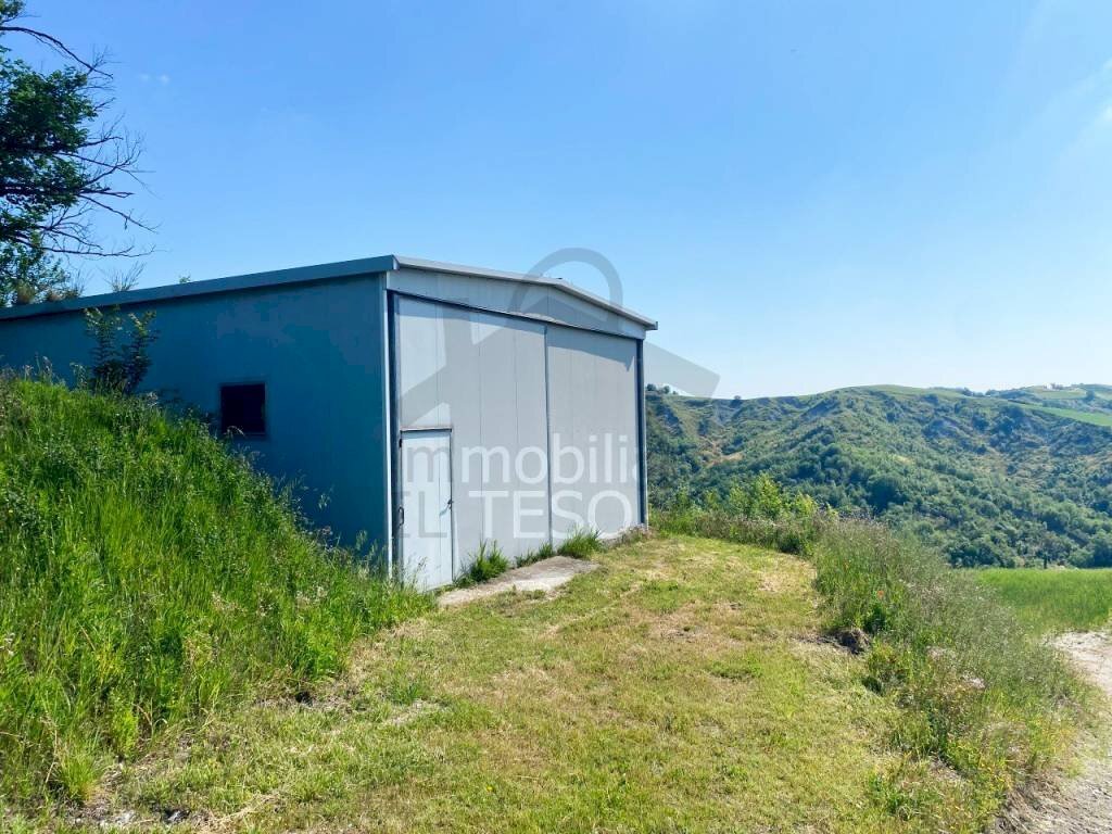 Terreno - Terreno agricolo strada Provinciale 11, Sogliano al Rubicone - foto 3