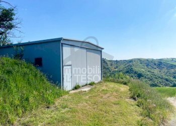 Terreno - Terreno agricolo strada Provinciale 11, Sogliano al Rubicone - foto 3