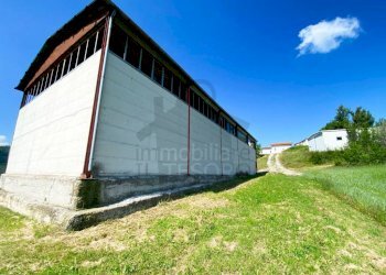 Terreno - Terreno agricolo strada Provinciale 11, Sogliano al Rubicone - foto 4