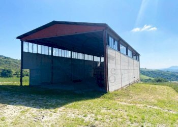 Terreno - Terreno agricolo strada Provinciale 11, Sogliano al Rubicone - foto 5