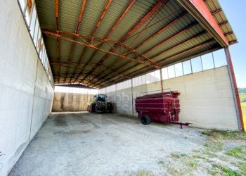 Terreno - Terreno agricolo strada Provinciale 11, Sogliano al Rubicone - foto 6