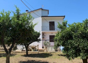 Giardino - Villa contrada Corvisiero, Rocca Imperiale - foto 5