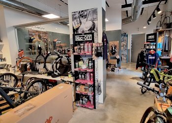 Negozio Via Arò, 66, Asti - foto 7