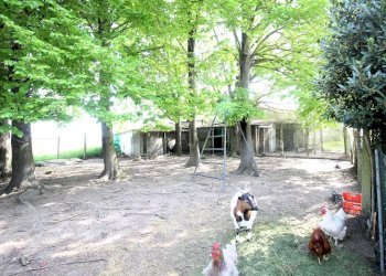 Apartment Mesola - photo 16