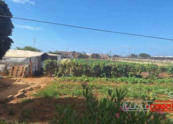 Casa indipendente CONTRADA CEO, Scicli - foto 12