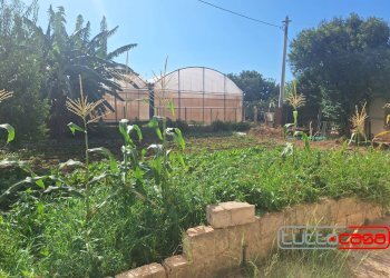 Casa indipendente CONTRADA CEO, Scicli - foto 14