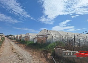 Casa indipendente CONTRADA CEO, Scicli - foto 15