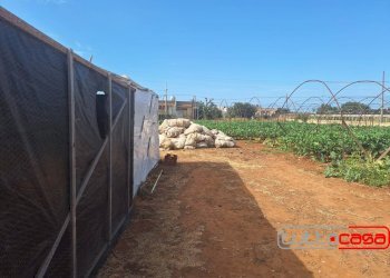 Casa indipendente CONTRADA CEO, Scicli - foto 17