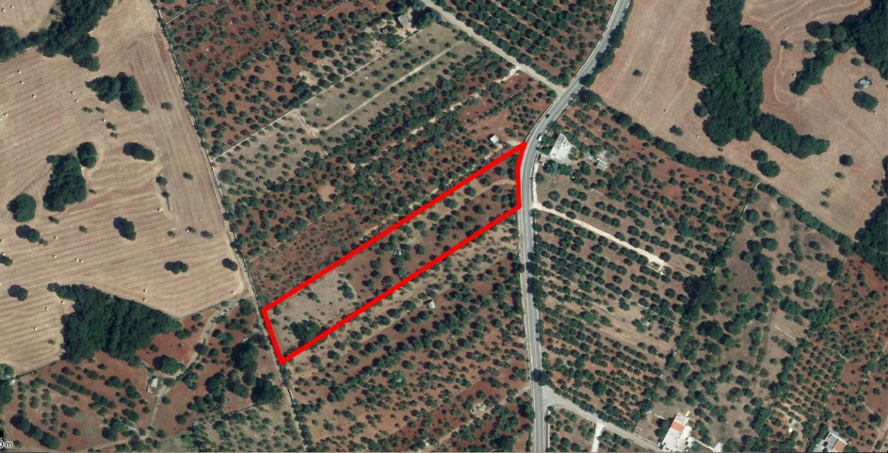 Foto aerea.jpg - Terreno agricolo Contrada Romanelli, Monopoli - foto 1