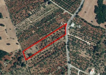 Foto aerea.jpg - Terreno agricolo Contrada Romanelli, Monopoli - foto 1