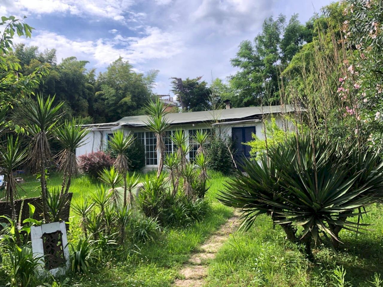 WhatsApp Image 2024-06-03 at 17.47.23.jpeg - Villa Ameglia - foto 1