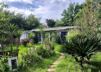 WhatsApp Image 2024-06-03 at 17.47.23.jpeg - Villa Ameglia - foto 1