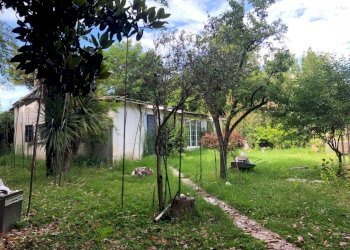 WhatsApp Image 2024-06-03 at 17.56.34(1).jpeg - Villa Ameglia - foto 3