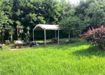 WhatsApp Image 2024-06-03 at 17.47.24.jpeg - Villa Ameglia - foto 15