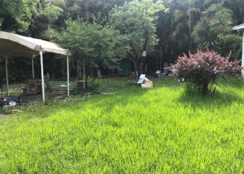 WhatsApp Image 2024-06-03 at 17.47.23(1).jpeg - Villa Ameglia - foto 16