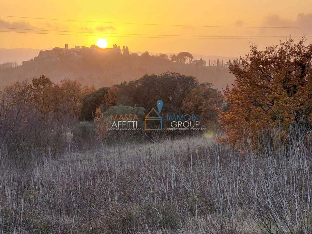 818db1c5-418b-42a9-ac54-62c91b4c485d.jpeg - Terreno agricolo Via Carbonaia, Palaia - foto 3