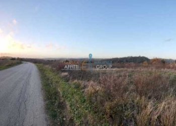 0d43937a-ebf2-4489-9967-cfaa21f2d190.jpeg - Terreno agricolo Via Carbonaia, Palaia - foto 4