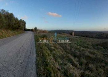 017819bb-18c2-45ca-86a8-79b4af05ccca.jpeg - Terreno agricolo Via Carbonaia, Palaia - foto 5